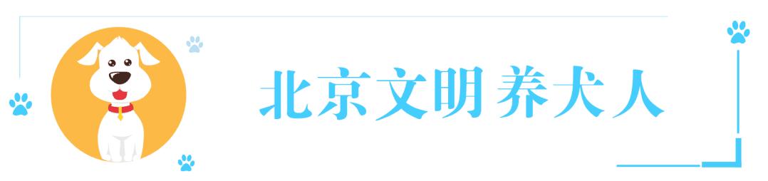 狗子体臭很严重怎么办,狗子臭了脏了怎么办