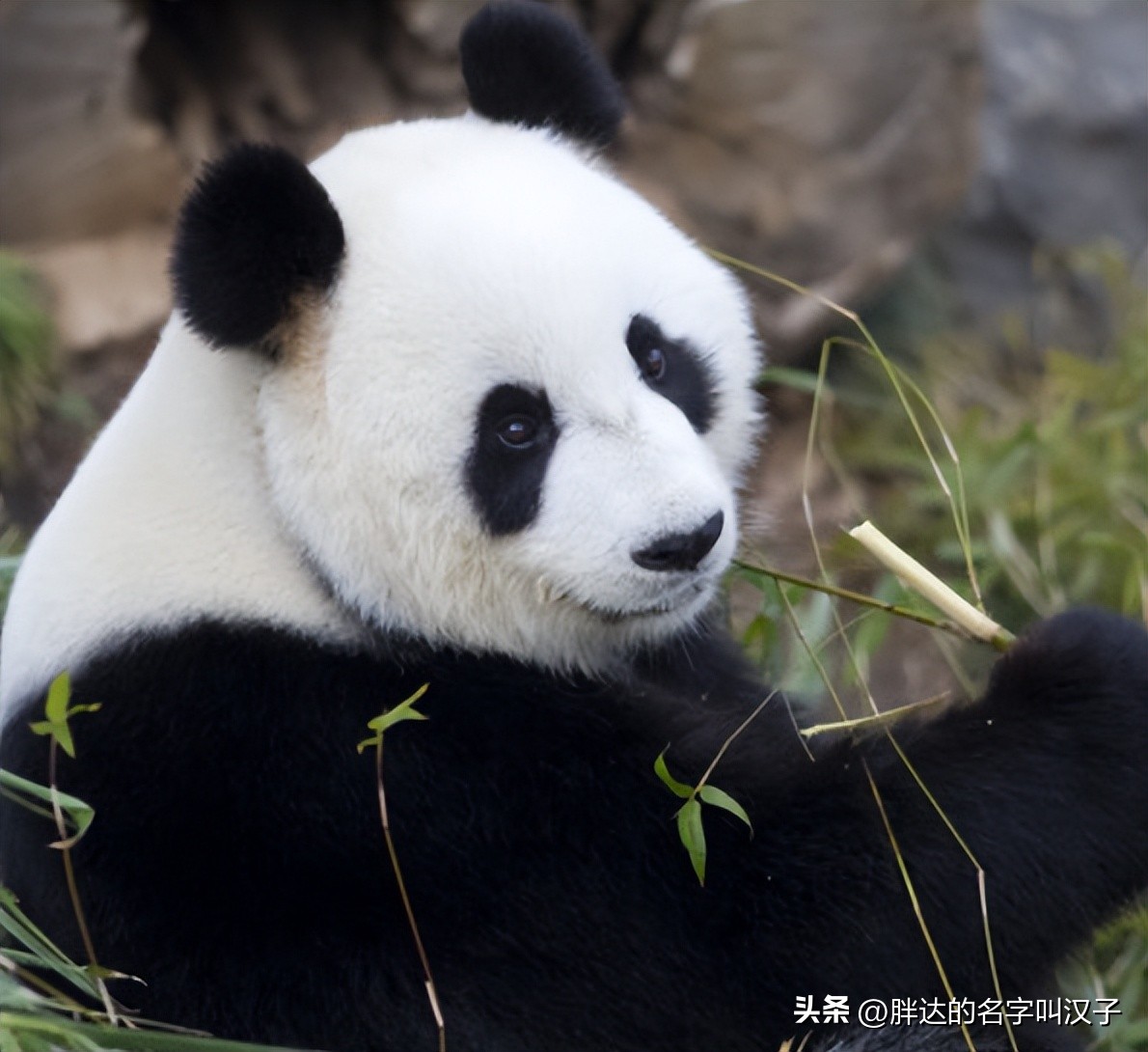 电商数据分析方法和技巧,电商思维案例