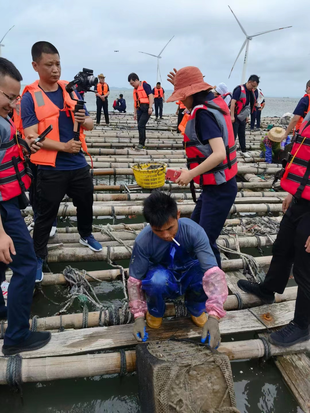 新西兰黑金鲍鱼购买,内陆城市怎么买帝王蟹