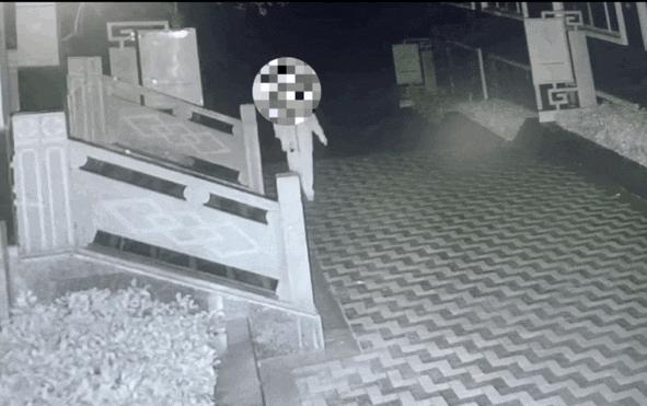 我养你啊出自哪部电影,我养你啊游戏攻略