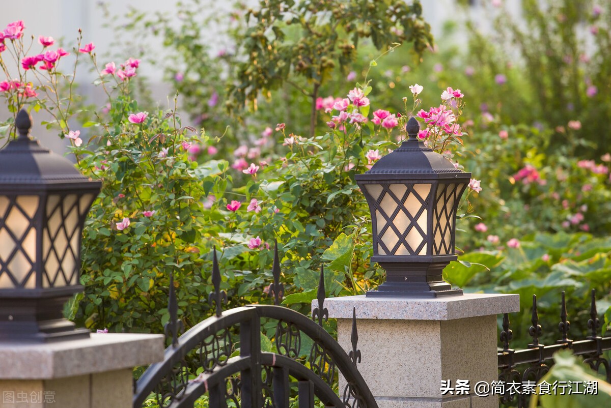 她做保姆这些年之豪门生活全集,她做保姆的这些年豪门生活之八