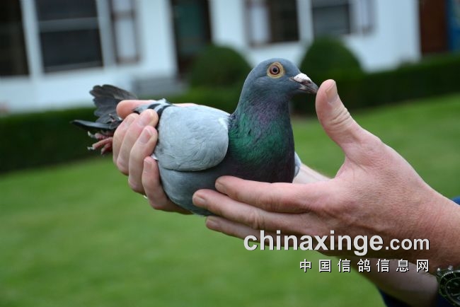 万里挑一的获奖者图片,万里挑一比赛视频