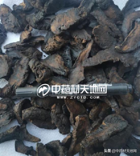 安国药市场分析,安国药行情分析