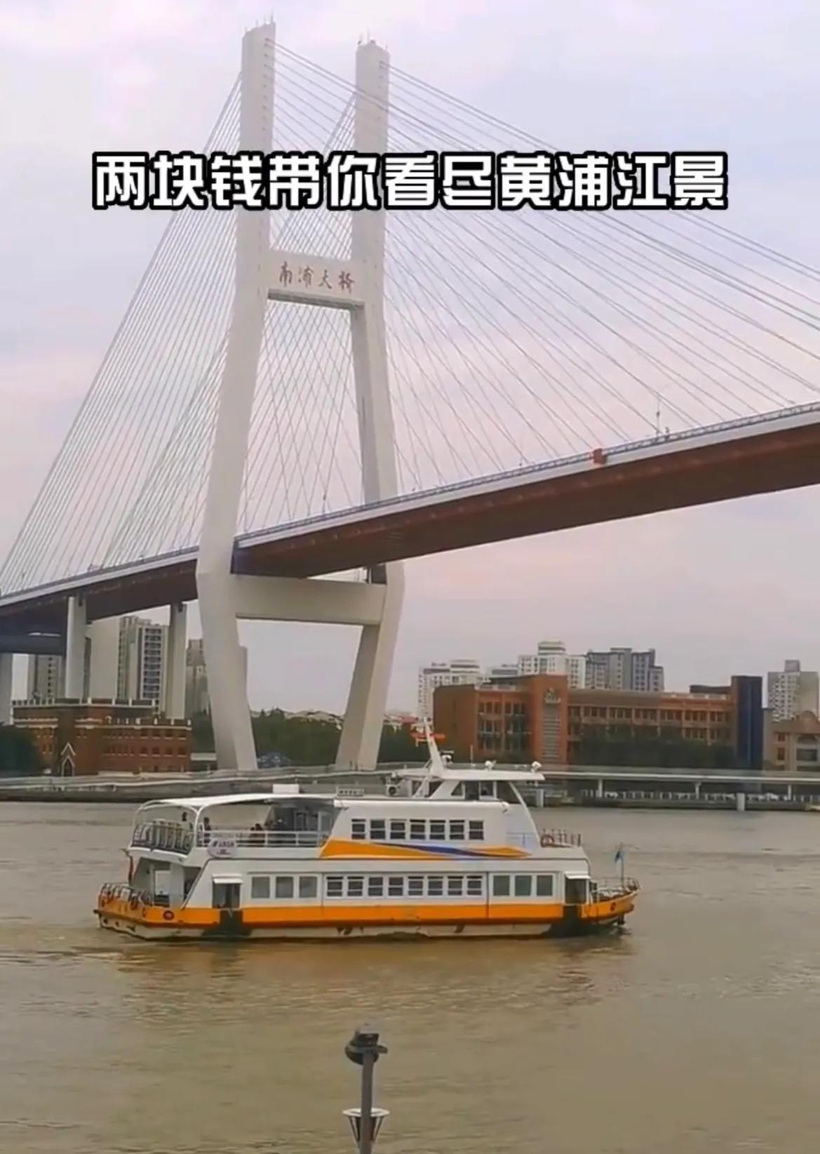 带孩子上海值得玩的景点,上海奉贤旅游景点推荐