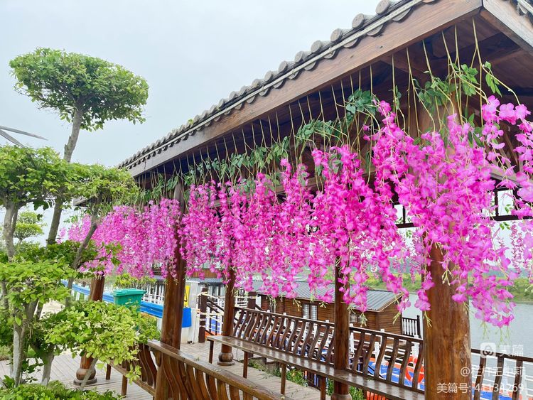 平安淮滨新变化丨淮滨县栏杆街道:喜迎二十大,夸夸我的家乡王湾新变化