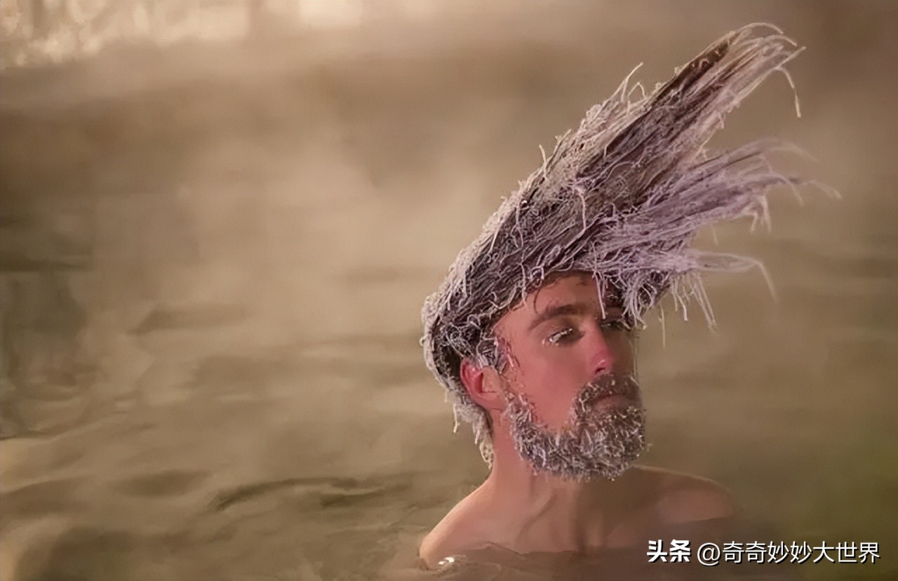 28张图看世界，欧洲贵妇的小便神器，在挪威“当官”的企鹅