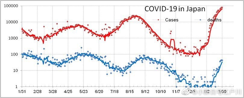 抢神石，挂卡片，看相测病毒，日本人为何沉迷玄学抗疫？