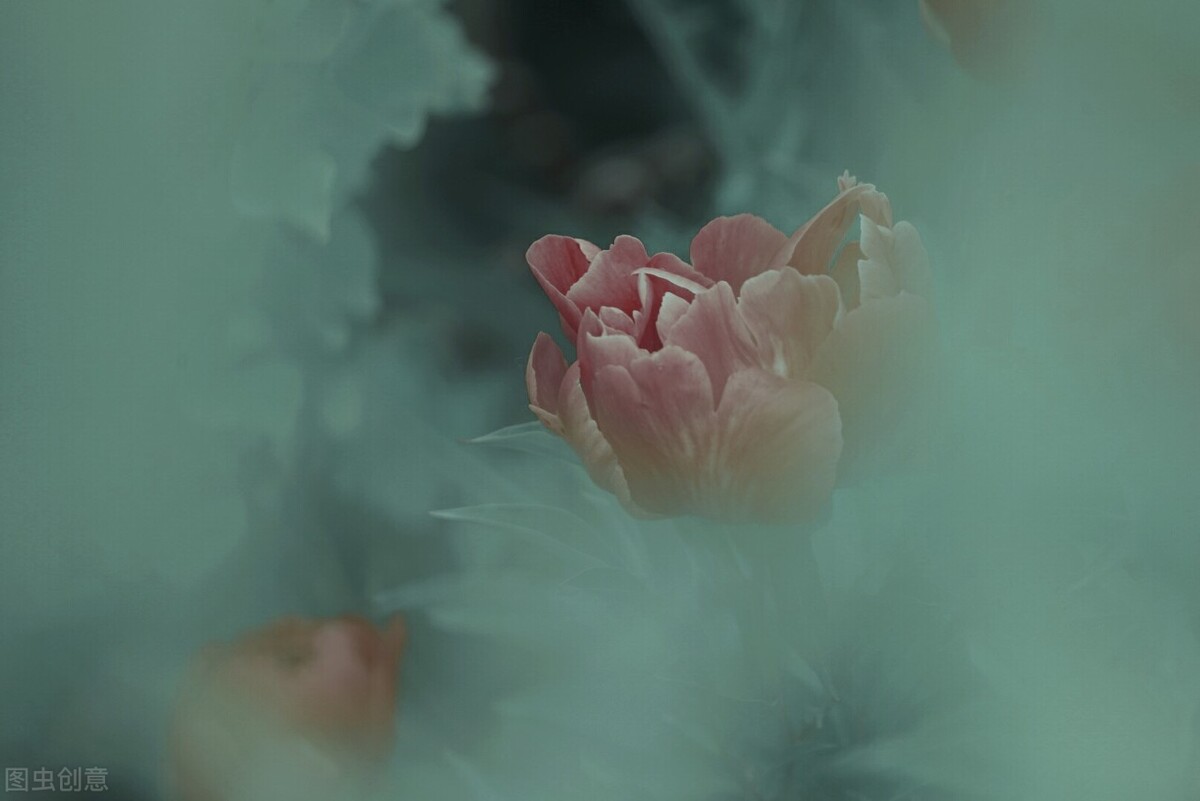 有一种累叫想太多图片,想太多会累的句子