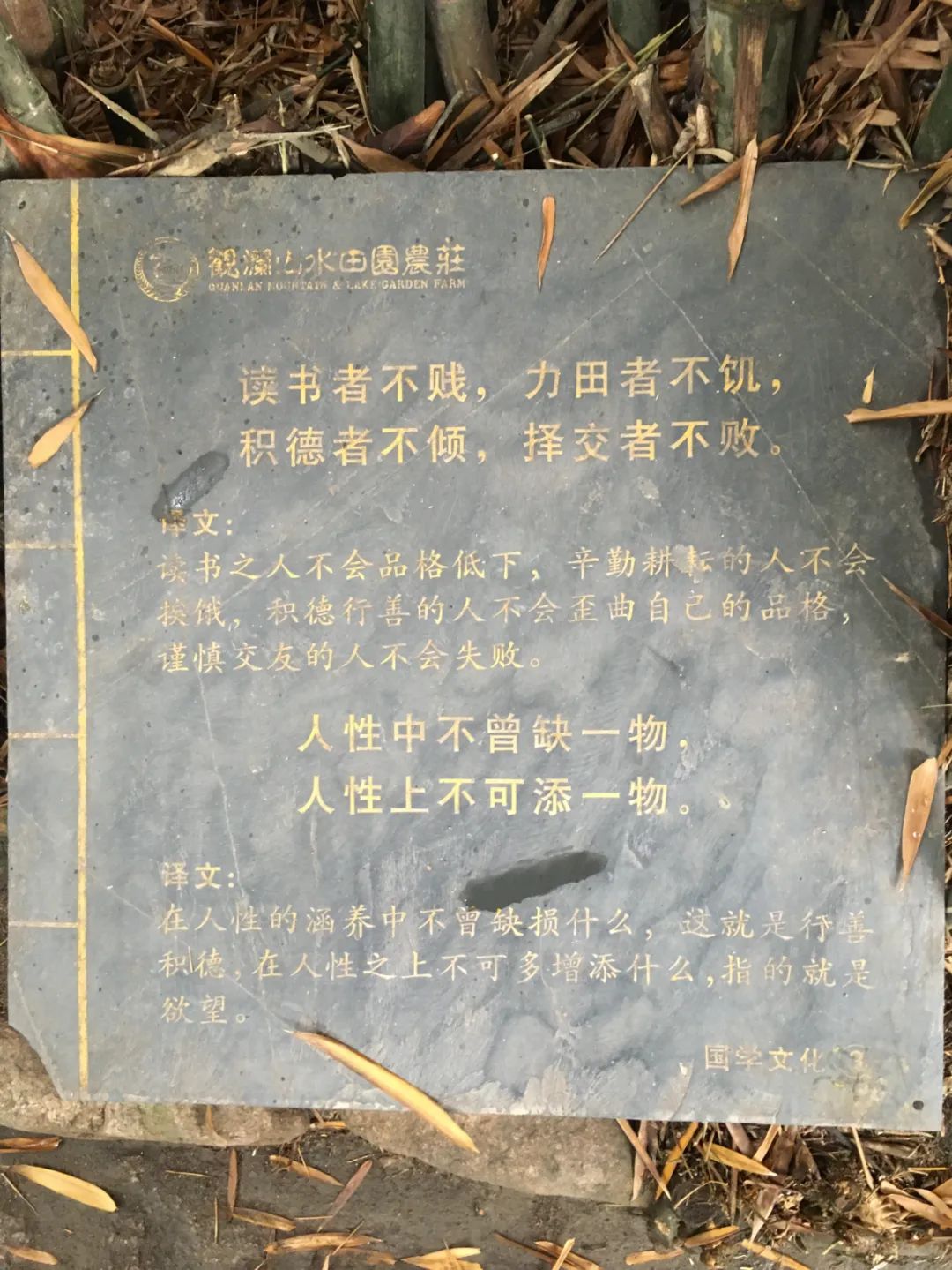 旭光电动车行,旭光车行向阳路