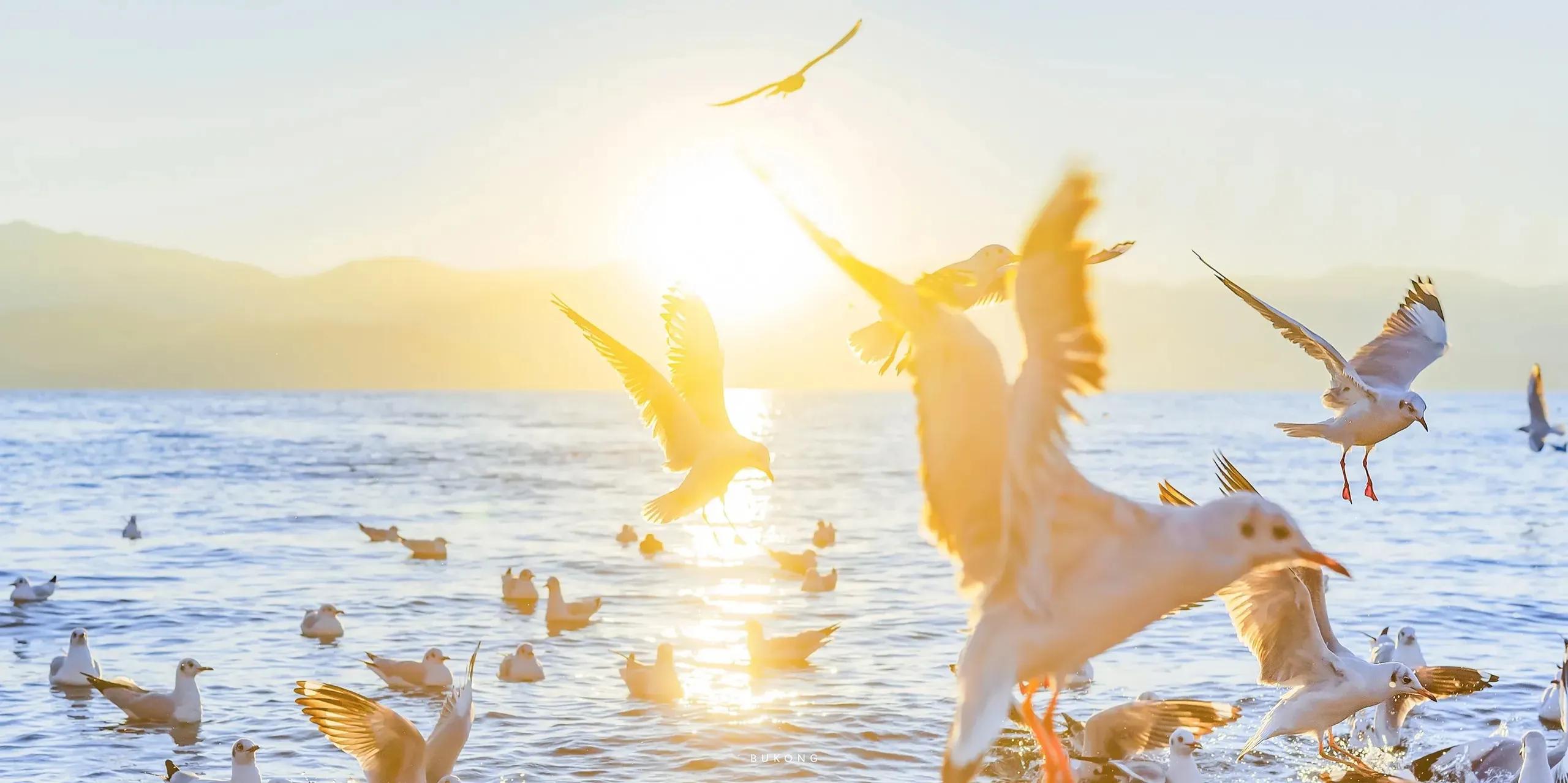 领导要走了离别的诗句,辞职时写给领导的诗句