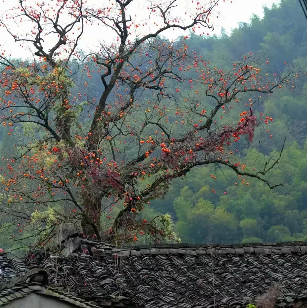 顺其自然的态度过着随遇而安生活,随其自然的态度过随遇而安的生活