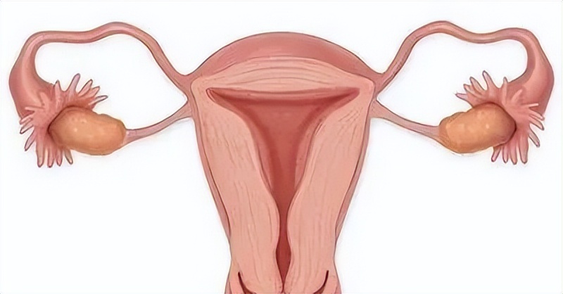 辅酶q10对怀孕有作用吗,吃辅酶q10和dhea怀孕了孩子能要吗