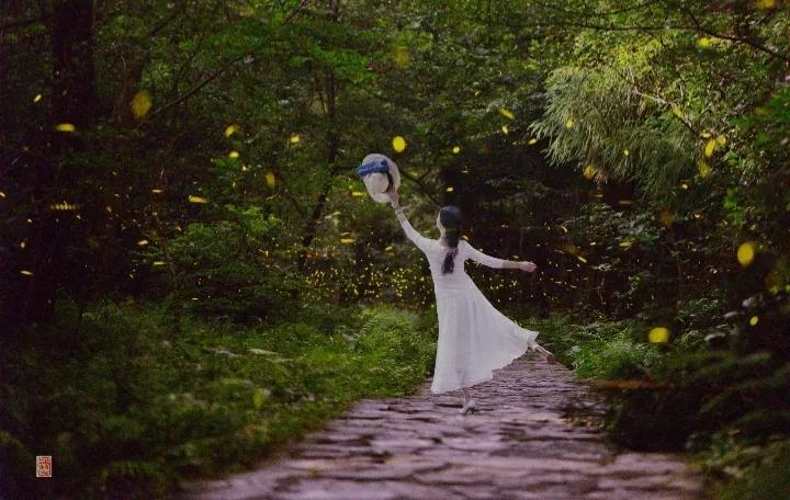 昆虫记研究过程的句子,昆虫记对万物的赞美句子