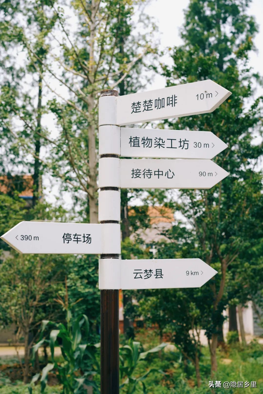 我为什么要在乡村开店——写给楚楚咖啡馆