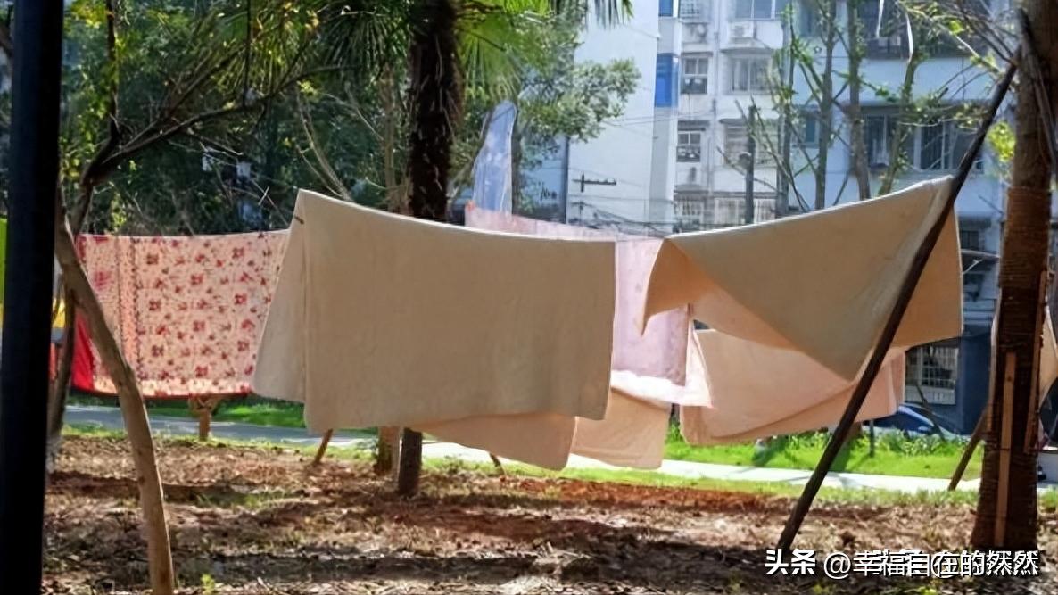 羽绒被太阳晒能杀菌吗,羽绒被洗后晒干有黄渍