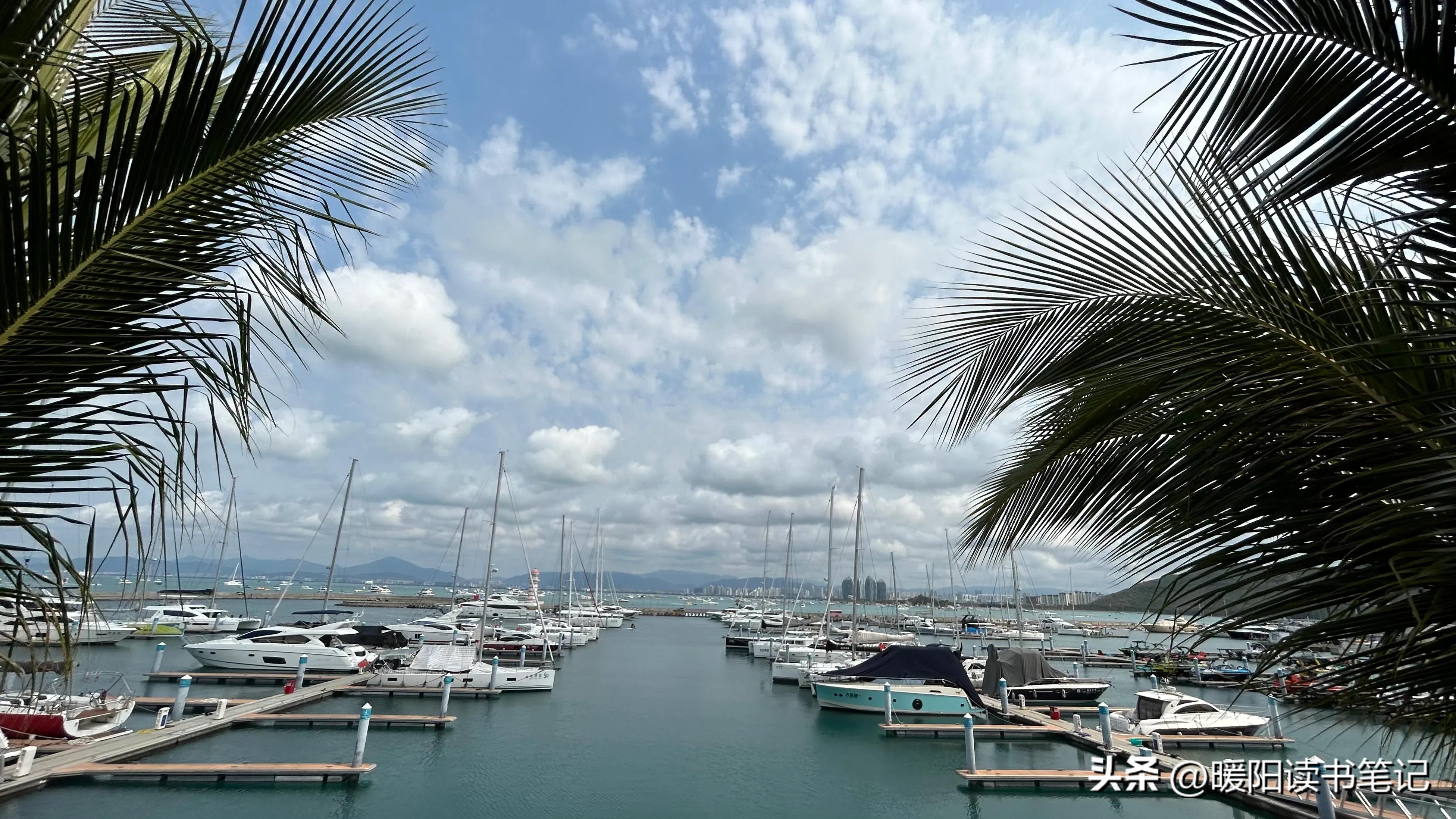 半山半岛帆船港拍摄,半山半岛帆船港怎么拍视频