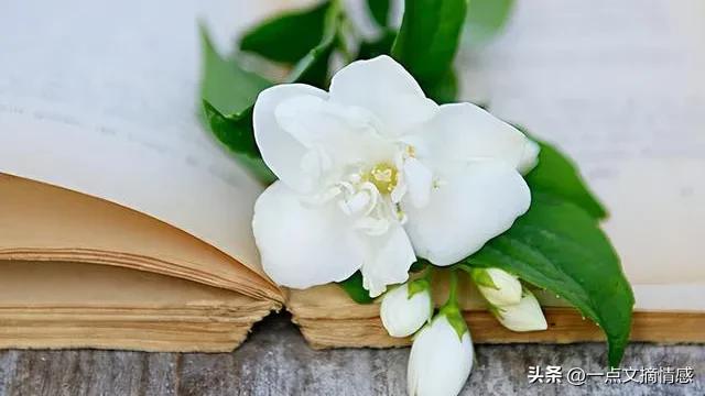 我离婚了！他的爱在游离，我背叛了所有人