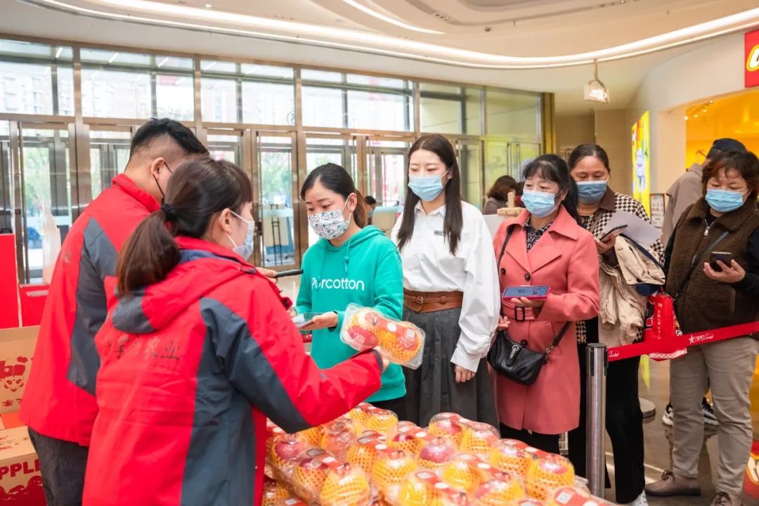 一起来看美丽的淀山湖,一起来看苏州京杭大运河