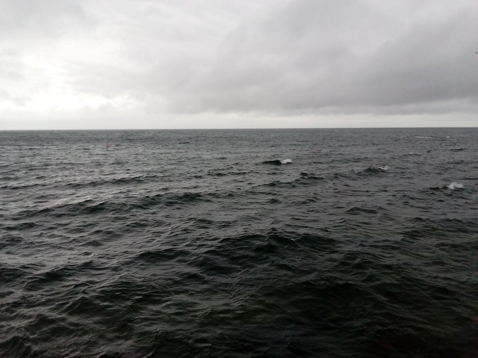 未解之谜深海巨蟒多大,海洋巨蟒真实图片大全