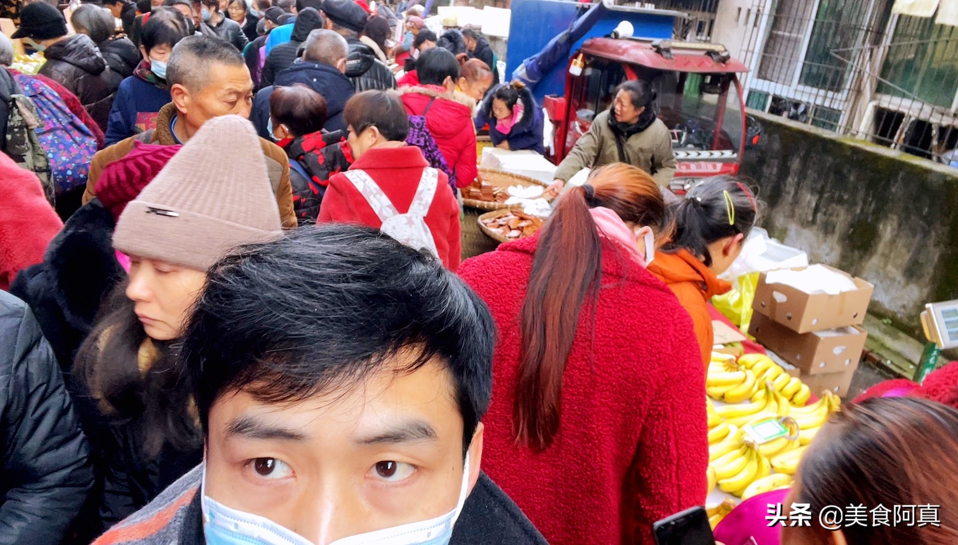 重庆狗儿市场有什么吃的,重庆主城狗市在哪里