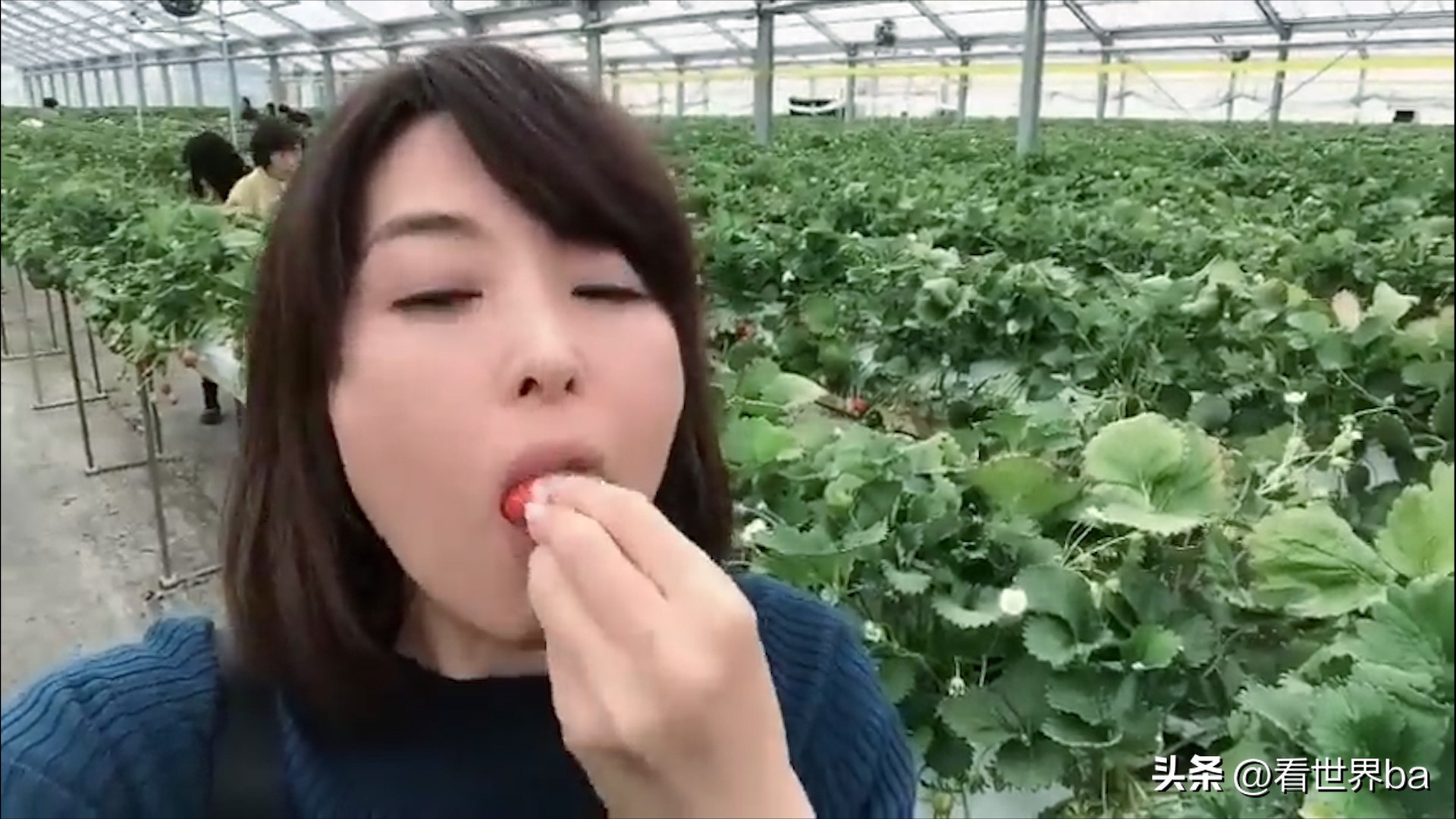 日本单身女性真实生活 (日本单身女人现状)