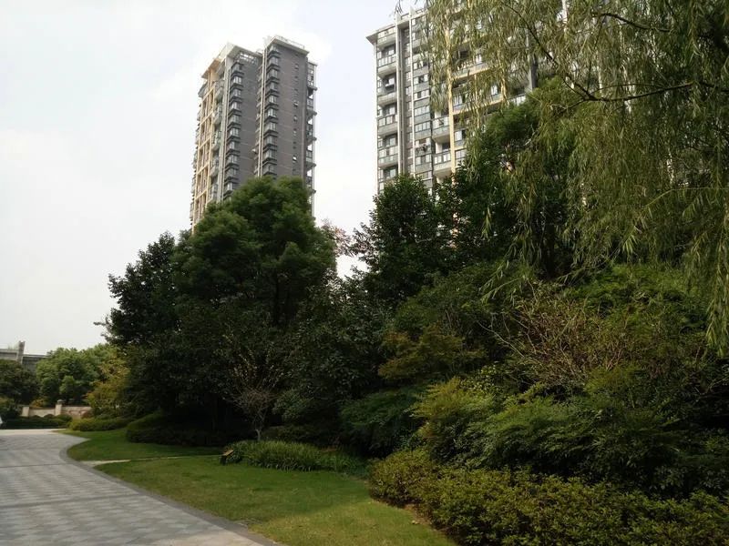 杭州文鼎苑学区房,杭州耀江文鼎苑学区房