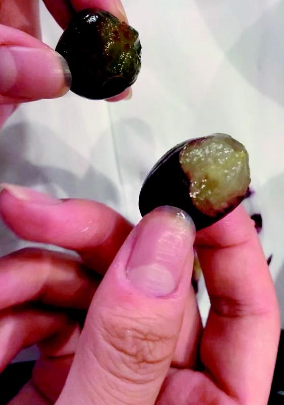 葡萄假冒嘉宝果,嘉宝果有没有明显的葡萄味