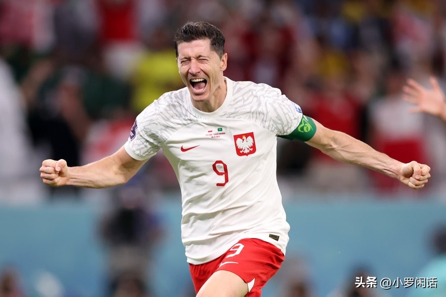 世界杯32支球队全家福,世界杯集锦24