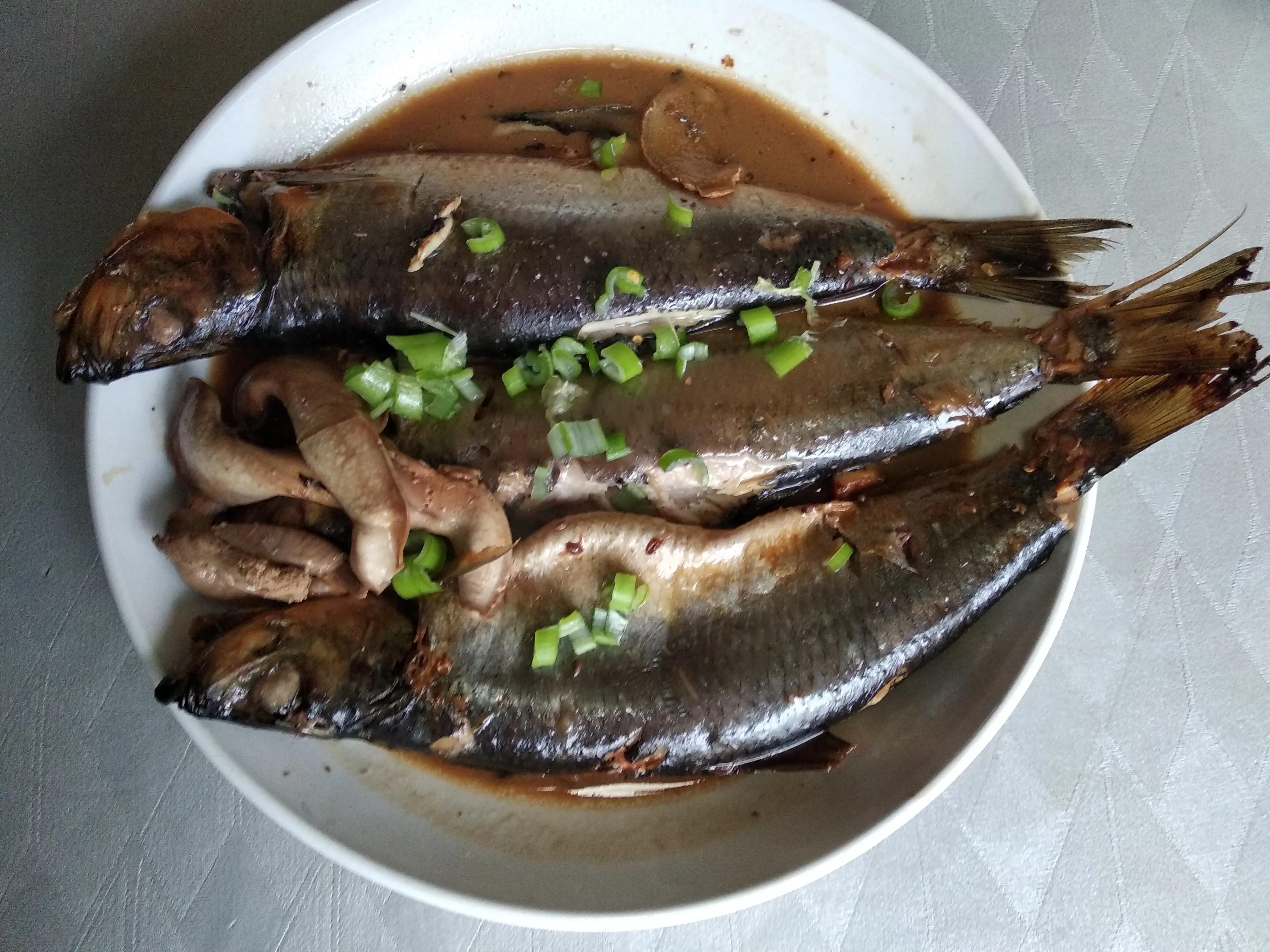 30种最常吃的海鱼图片大全,比较常见可以吃的海鱼