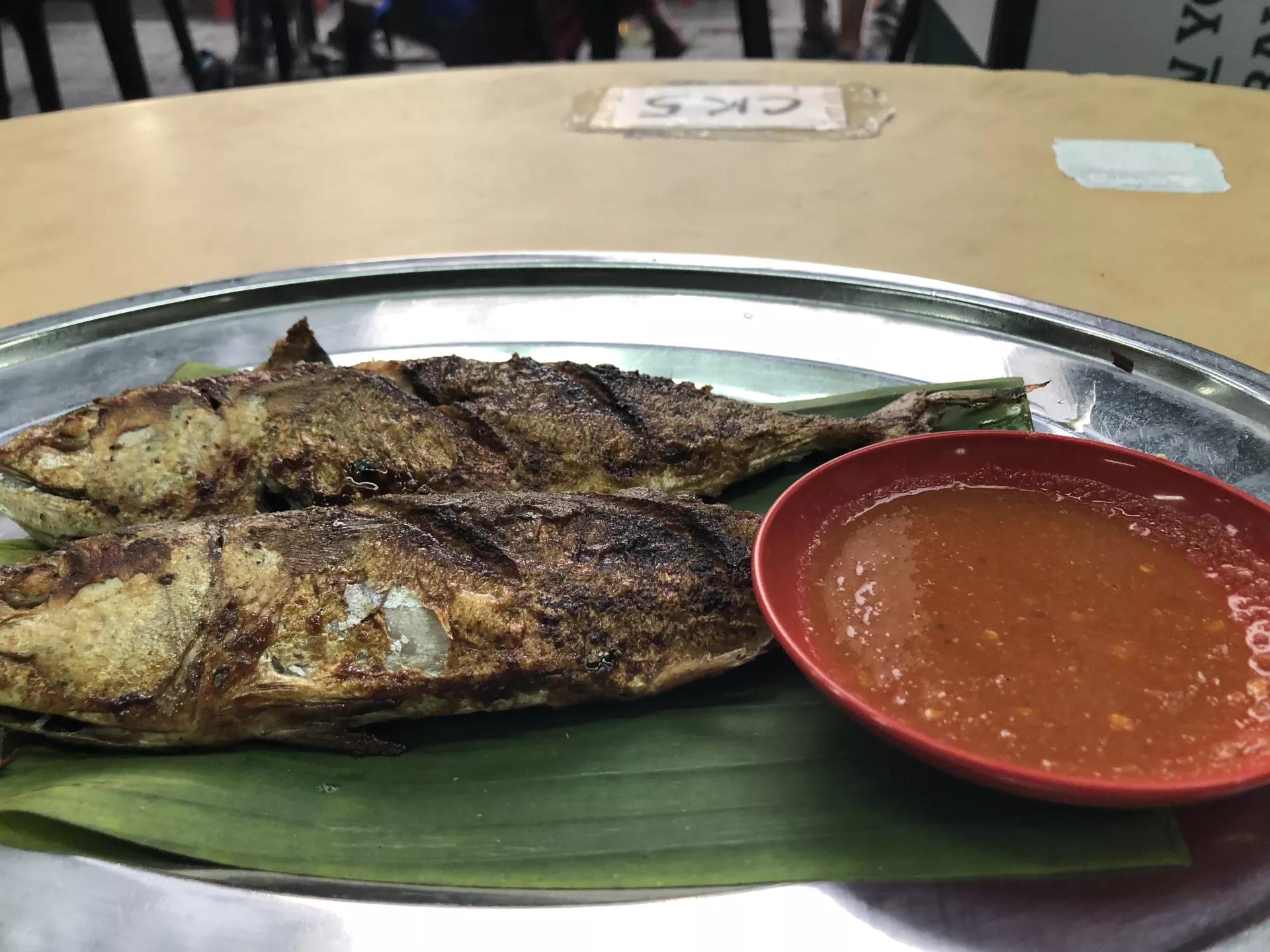 钱猫猫王者荣耀,钱猫猫的视频