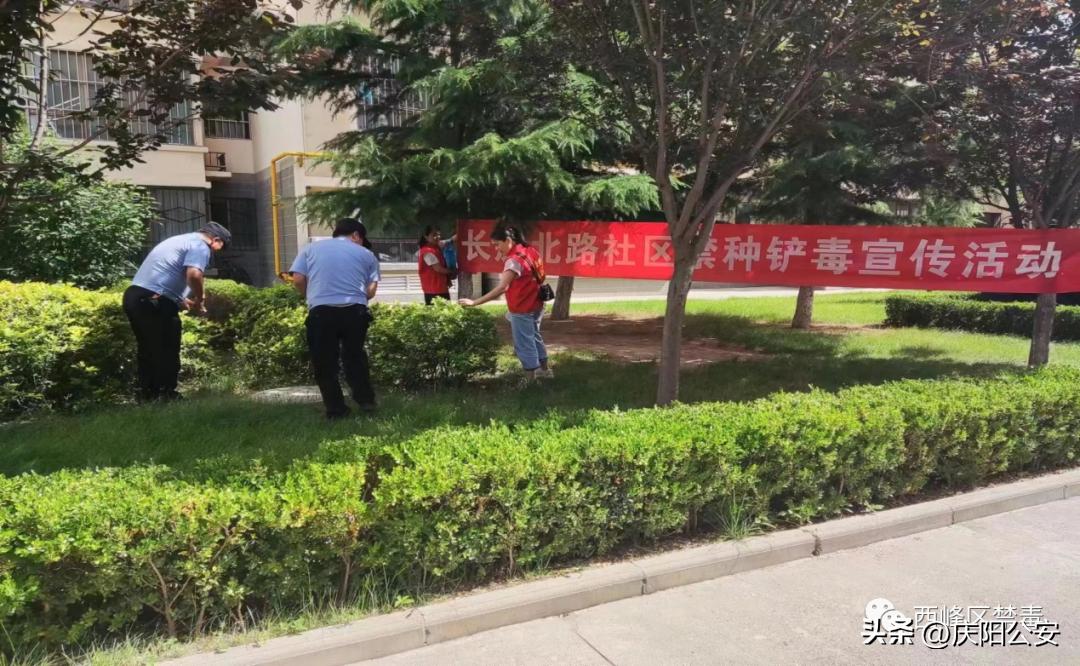 禁毒宣传进寄递业筑牢禁毒防线,开展禁毒宣教筑牢禁毒安全防线