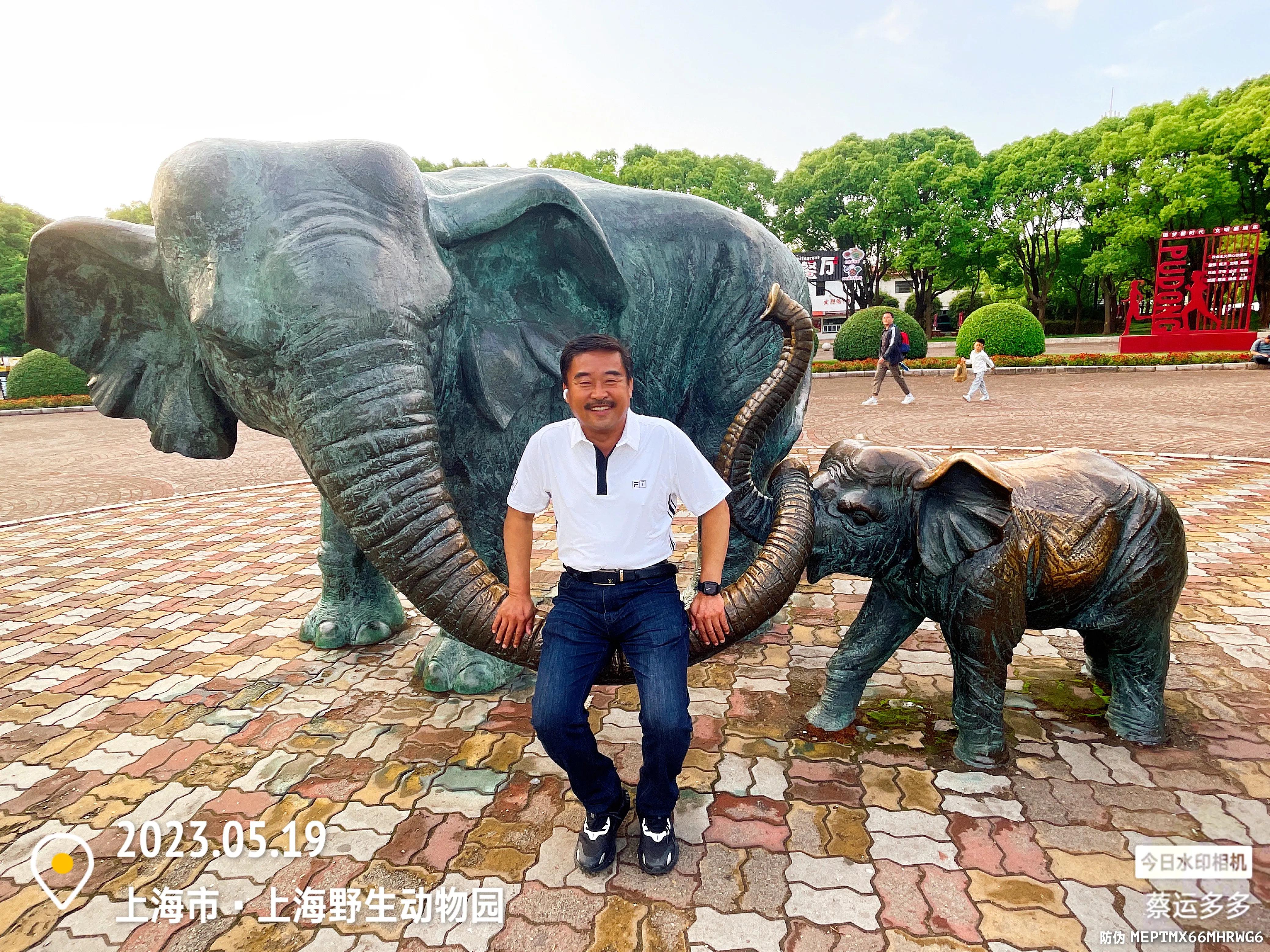 我喜爱的动物是小猫,什么动物招人喜爱