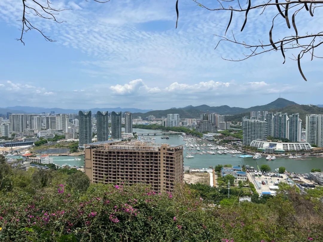 海口三亚房价进入全国前十,海口三亚房价还会涨吗