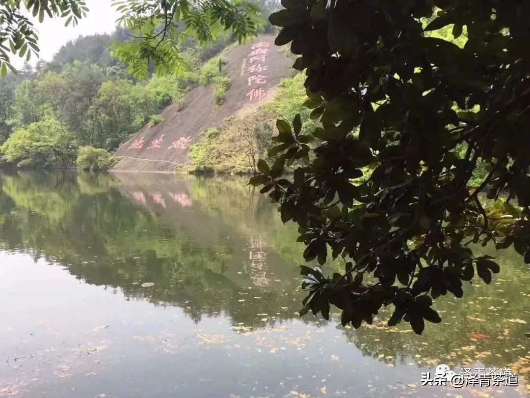 “自古名寺出名茶”，什么样的茶才能称为禅茶呢？