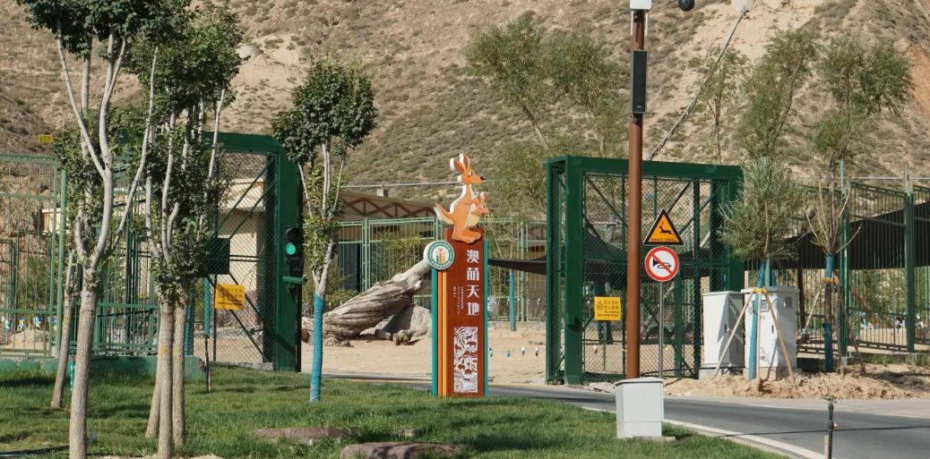 1年1张，100年兰州