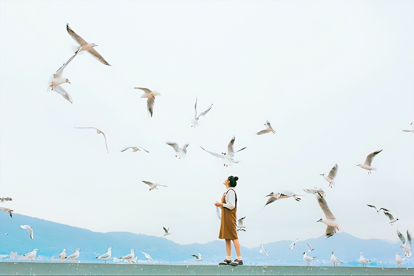 青岛必去的10大免费景点城阳区,青岛巨峰旅游攻略必去的景点推荐