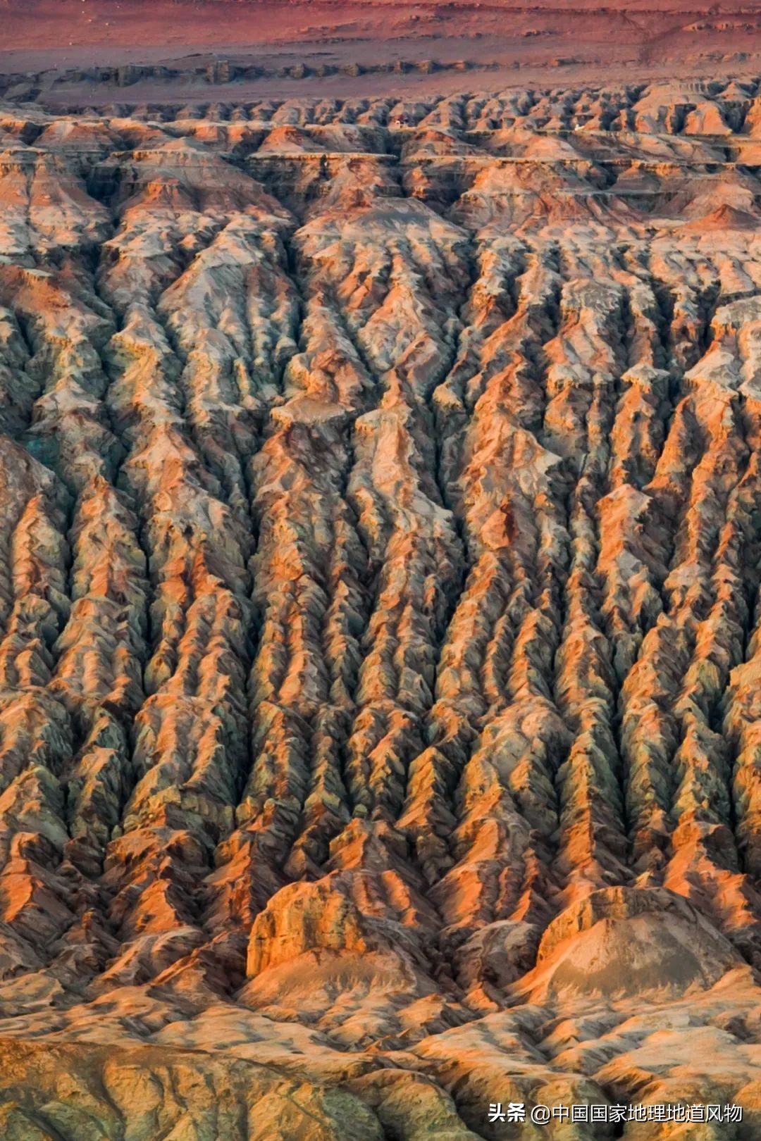 中国四大火炉的城市是哪几个,中国被称为四大火炉的城市