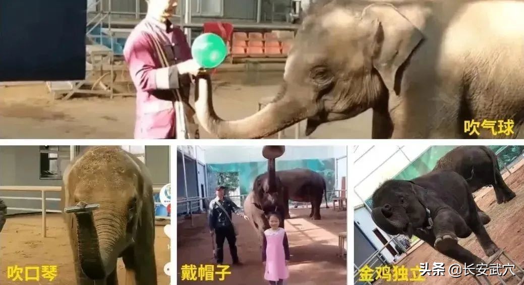 全网最近大事件,最大丑闻案件