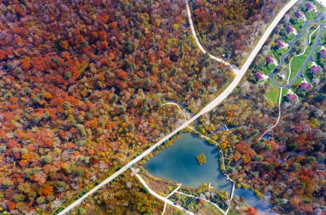 长白山的秋季,长白山夏天和秋天的区别