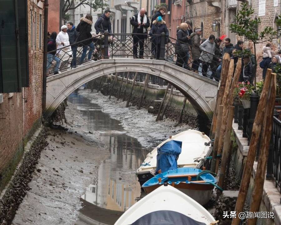 风靡美国的柠檬杯胸罩，印度*队军**的大象战机，36张图看世界
