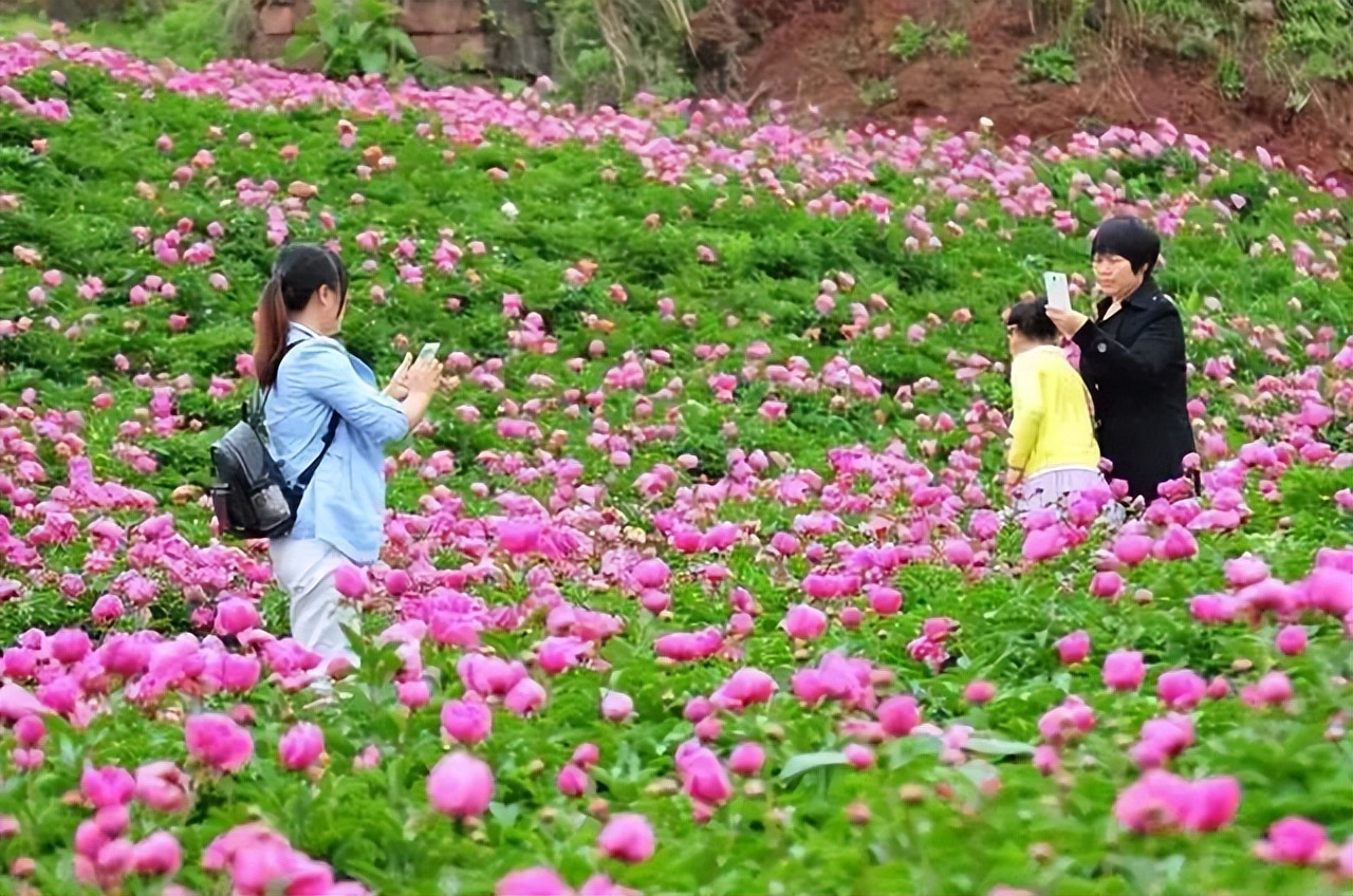 四川内江到云南旅游自驾游路线,重庆四川南充旅游线路攻略