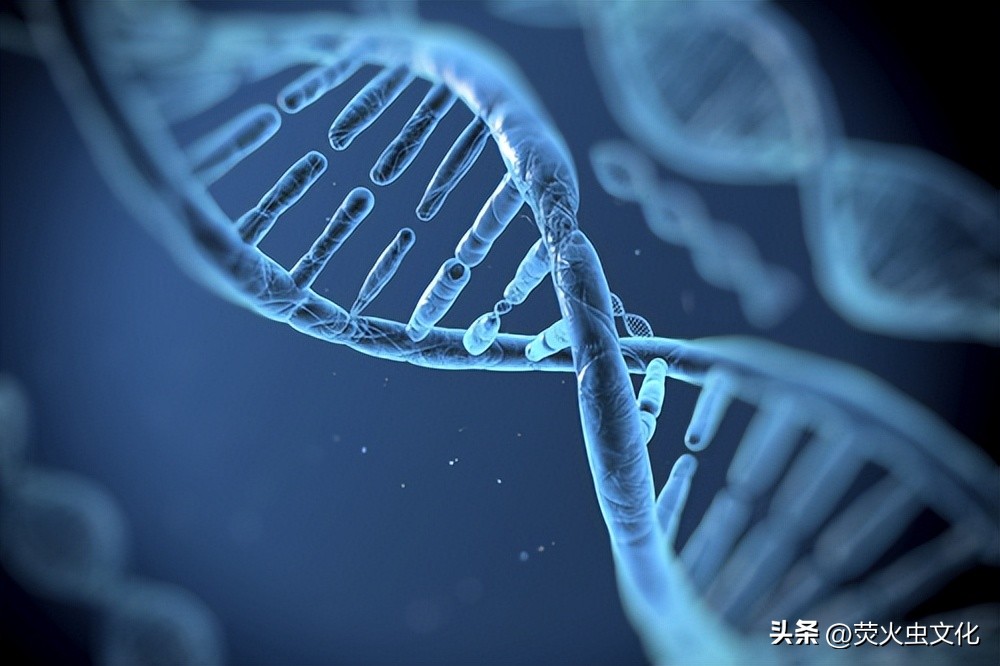 2023基因测序、生物信息分析平台工作站、服务器集群硬件配置推荐