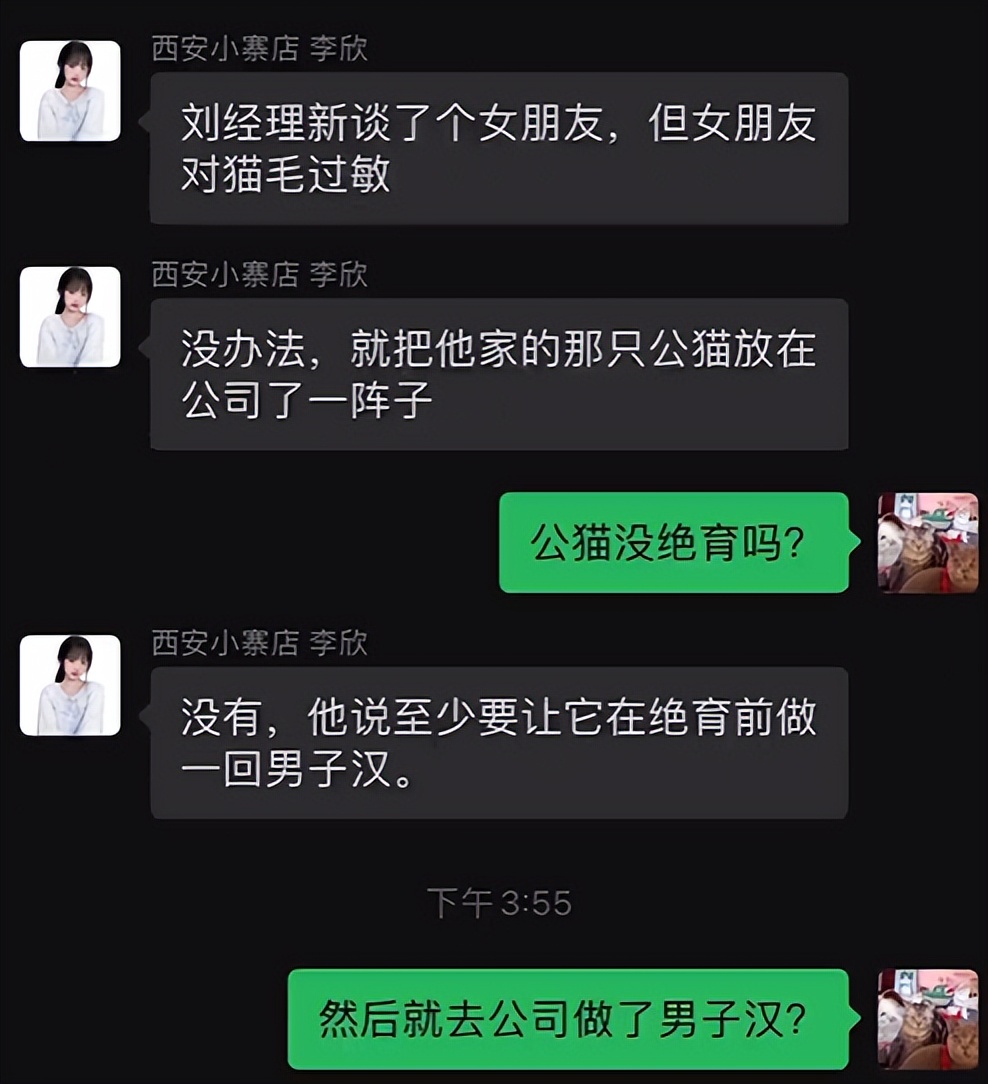 网友养了70只布偶猫,有人家里养了110只布偶猫