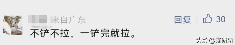 猫咪吃饭的十大怪癖 (猫咪的七大怪癖喵了个咪)