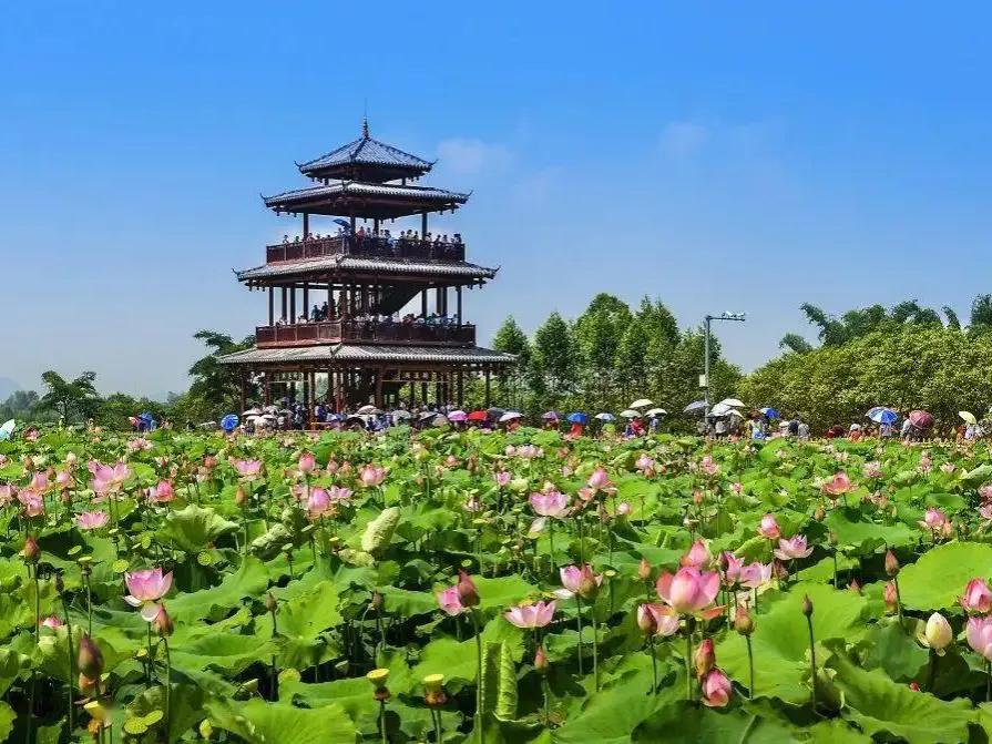 广西贵港著名的地方,广西贵港风情尽收眼底