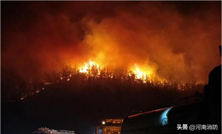 八旬老农随手一“弹”引发大火！检察院：建议有期徒刑3年