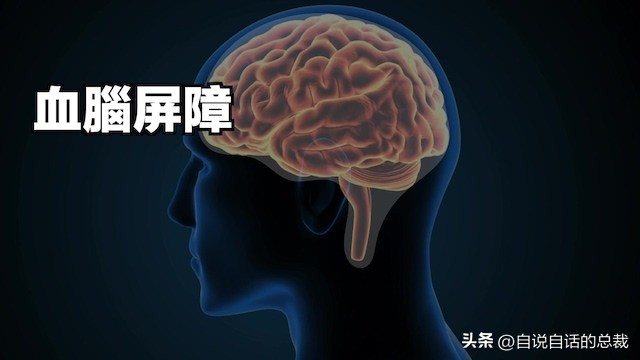 味精没有那么可怕,味精的真相