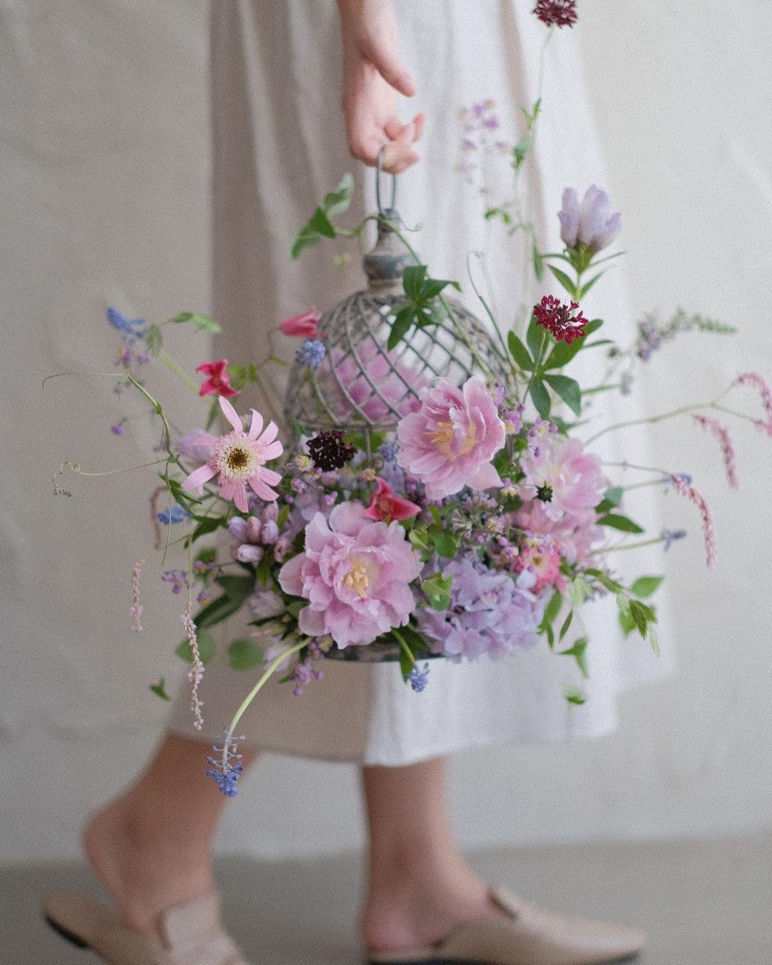 花艺教程花材打理知识,花艺教程常用花材及叶材有哪些