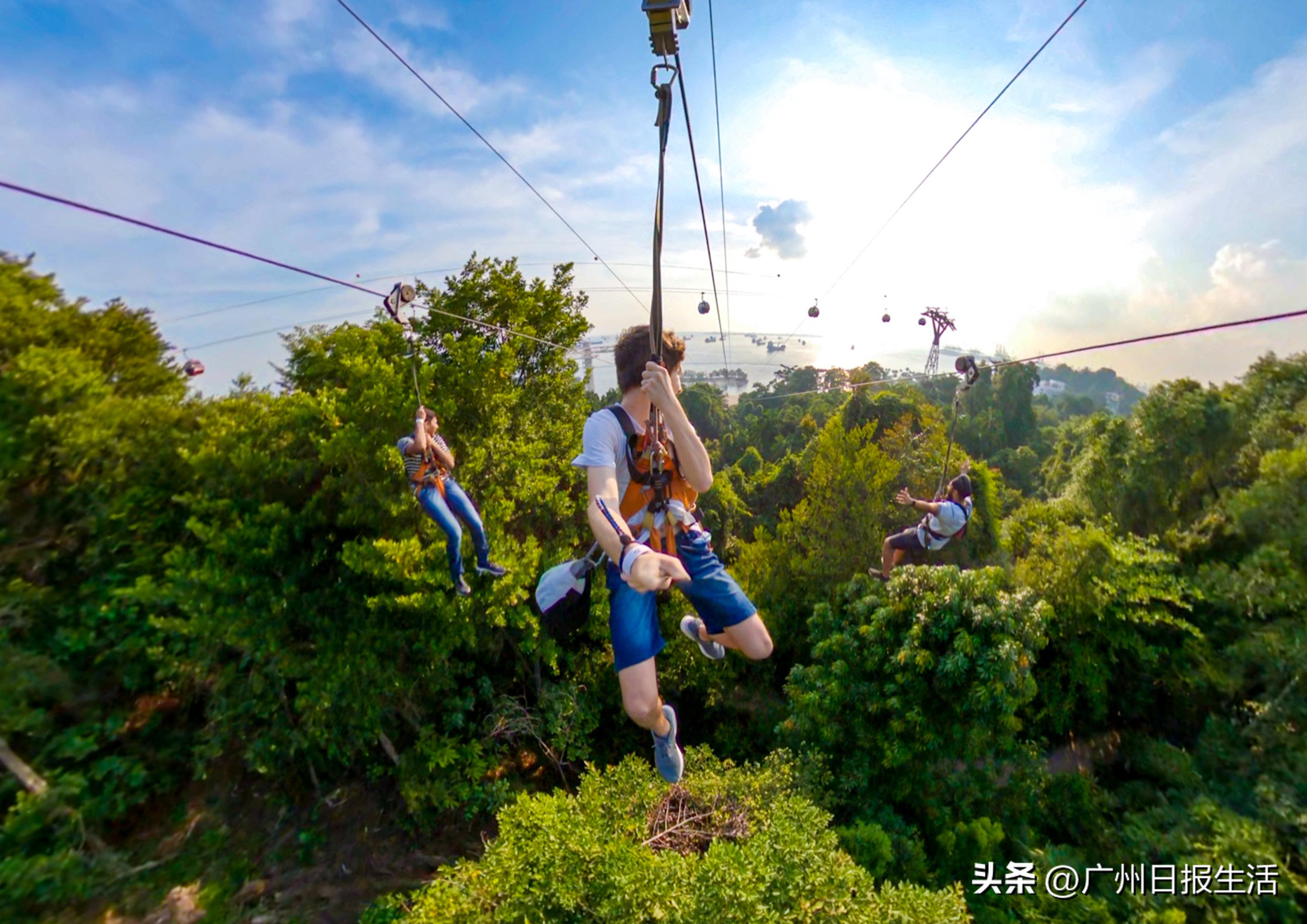 鎵撻鐨勫幓閲嶅簡寰掓涓夊场涔嬪穮,鎵撻鐨勫幓鐪嬫捣
