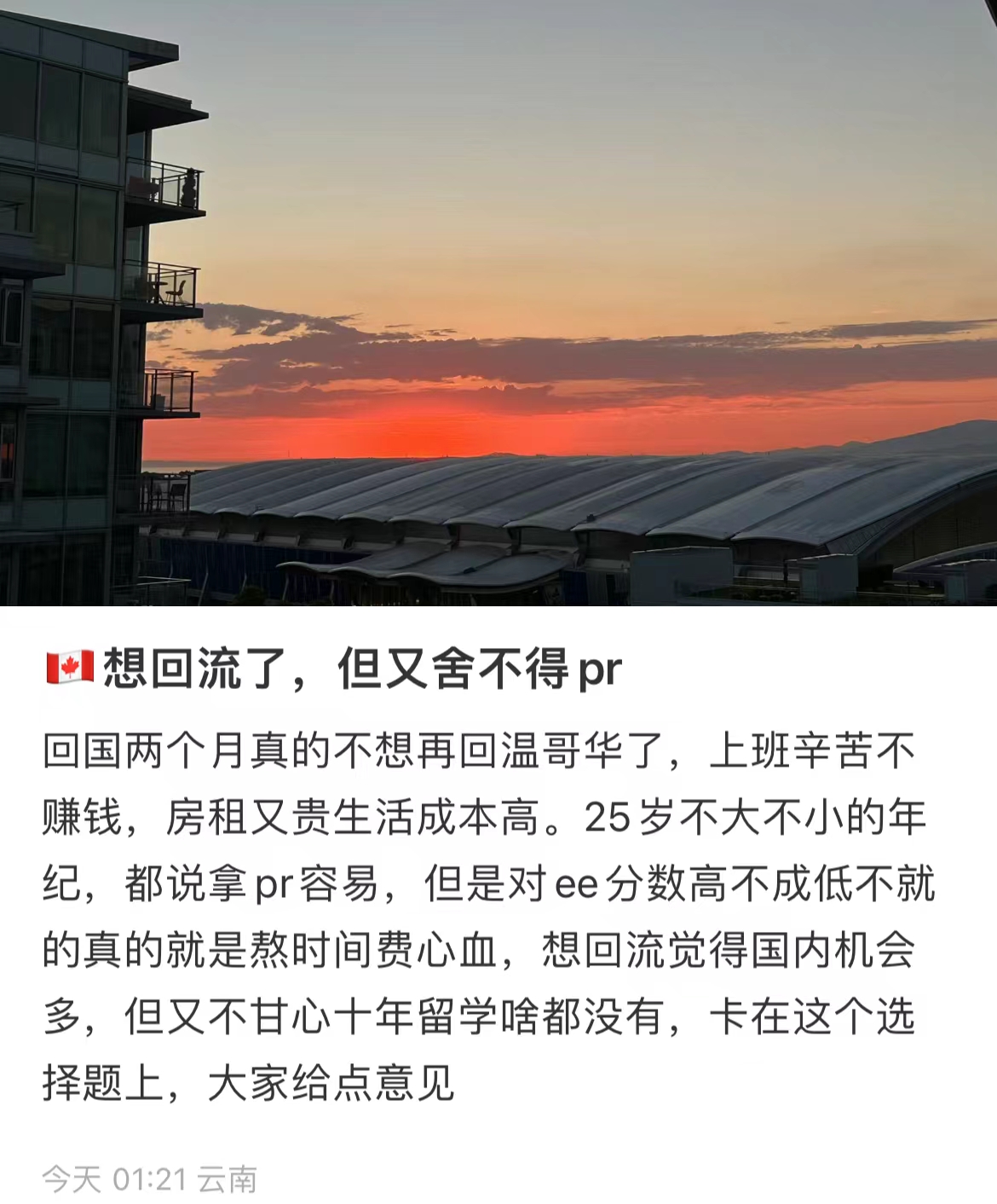 海外华人回不了国的感悟,海外华人回中国留学